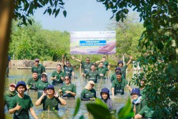 Kolaborasi BUMN Tanam 5.000 Mangrove di Surabaya