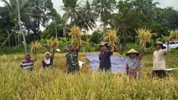 BPS : Nilai Tukar Petani Jatim Naik 3,32 Persen pada Mei 2026
