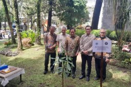 KLH Bersama UB Maksimalkan Rehabilitasi Mangrove Laut