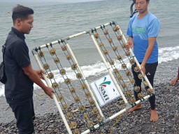 LMI Lakukan Konservasi Terumbu Karang di Banyuwangi