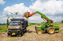 Produksi Gula PT SGN Tahun Ini Tercapai 847 Ribu Ton GKP Lampaui Target