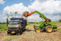 PT Sinergi Gula Nusantara (SGN) Tingkatkan Produksi Tebu dan Gula Menuju Swasembada Tahun 2028