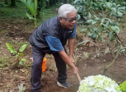 Amankan Hulu Brantas, Bulog Tanam 413 Bibit Alpukat
