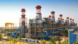 PLN EPI Pasok 1,6 Juta Biomassa untuk Co-Firing 46 PLTU Selama 2024