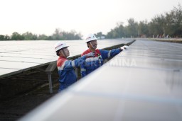 Pertamina NRE Raih Skor ESG BBB, Tunjukkan Komitmen Keberlanjutan