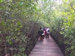 Gelar Beragam Kegiatan Spesial di Kebun Mangrove Surabaya