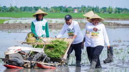 Jaksa Sahabat Tani, Program Sinergi Pemkab Gresik Bersama Kejati Jatim Perkuat Pertanian Berkelanjutan