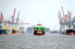 Pelindo Terminal Petikemas Catat Arus Container Tahun 2024 Tembus 12,48 Juta TEUs
