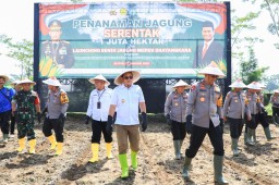 Pj Gubernur Dan Kapolda Jatim Launching Benih Jagung Hibrida F1 Bhayangkara Varietas TKS 234