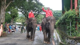 Satwa Taman Safari dan Barongsai Meriahkan Atraksi Libur Imlek