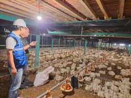 Tarif Listrik Triwulan I 2025 Tetap, PLN Utamakan Keandalan Listrik bagi Masyarakat