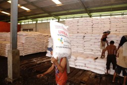 Hingga 3 Januari, 27 Ribu Petani Tebus Pupuk Bersubsidi