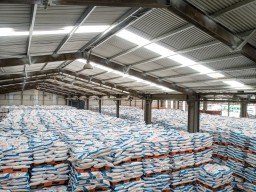 Petrokimia Gresik Siap Distribusikan Pupuk Bersubsidi ke Seluruh Indonesia Mulai Januari 2025