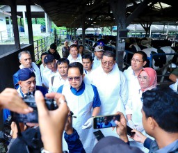 Pemprov Jatim Perketat Antisipasi Penyebaran PMK pada Hewan Ternak