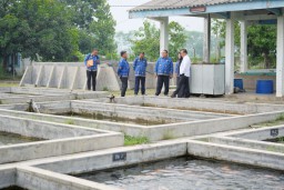 Dinas Perikanan Pasuruan Budidayakan Ikan Dewa dan Lele