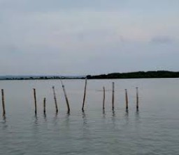 Menteri ATR Segera Cek Sertifikat Pagar Laut di Sumenep