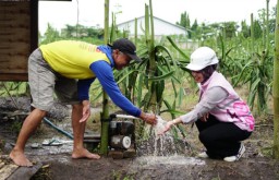 Dukung Ketahanan Pangan, PLN Jatim Jalankan Pompanisasi Pertanian