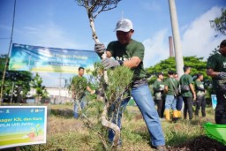 Rayakan Bulan K3 Nasional, PLN Gelar Penghijauan di Jatim