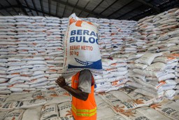Hingga 8 Februari, Bulog Lakukan Pengadaan 38 Ribu Ton Beras