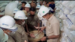 Bulog Jatim Targetkan Serap 593 Ribu Ton Setara Beras di 2025