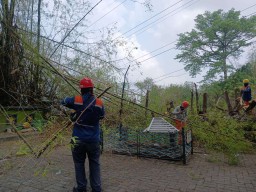 Cuaca Ekstrem, PLN jaga Keandalan Jaringan Transmisi