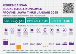 Januari 2025, Jatim Alami Deflasi 0,54 Persen Dipicu Diskon Tarif Listrik