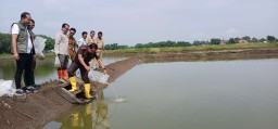 Pemkab Pasuruan dan Kejari Tebar Puluhan Ekor Benih Bandeng