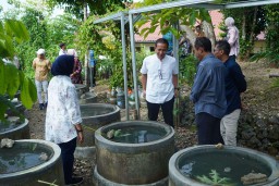 Jaga Ketahanan Pangan, Pemkab Bojonegoro Budidaya Ikan Lele