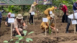 Pemkab Pasuruan Tanam Padi Gogo di Lahan Kering