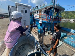 PLN Hadirkan Listrik 47,32 GWh, Tumbuhkan Perikanan dan Kelautan