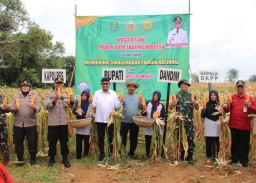 Tahun Ini Sumenep Perluas Areal Tanam 25.000 Hektar Lebih