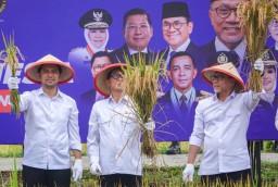 Panen Raya Bersama Menko Pangan, Wagub Emil : Swasembada Pangan Harus Selaras Peningkatan Kesejahteraan Petani