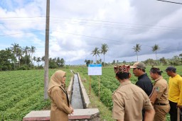 Ada Efisiensi, Pemkab Banyuwangi Tetap Prioritaskan Infrastruktur
