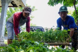 Indeks Ketahanan Pangan Madiun Masuk Peringkat Tujuh