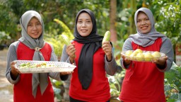 SIG Lewat Program Bumi Kartini Berdayakan 879 Perempuan, Ubah Limbah Sapi Jadi Sumber Ekonomi