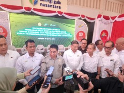 Danantara dan SGN Siapkan Dana Rp 1,6 Triliun untuk Serap Gula Petani