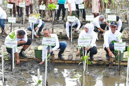 SIG Tanam 17.845 Bibit Bakau di Probolinggo