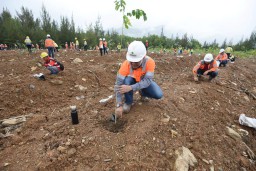 SIG Tanam 13.424 Batang Pohon untuk Perlindungan Keanekaragaman Hayati di Aceh