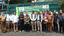 Sinergi PT Smelting Bersama TSI Tingkatkan Kualitas Sapi Bali bagi Peternakan di Jawa Timur Melalui Revitalisasi Genetik