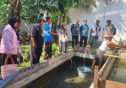 PLN UIT JBM Kembangkan Budidaya Lele di Pasuruan