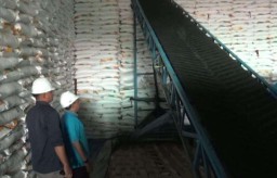 Pemerintah Segera Serap Gula Petani Jombang