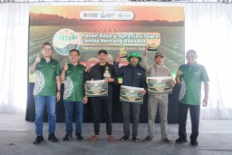 Petrokimia Gresik Gelar Lomba Kentang Raksasa di Dieng Raya, Dorong Pertanian Produktif dan Berkelanjutan