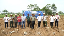 Dirjen Perkebunan Tinjau Kegiatan Bongkar Ratoon Tebu SGN PG Sragi