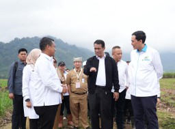 Mentan Amran Dukung Percepatan Program Bongkar Ratoon SGN