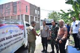 Petani Jagung Binaan Polres Gresik Panen 5 Ton Jagung