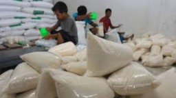 Siapkan Dana Rp 1,5 Triliun, Pemerintah Serap 40 Ribu Ton Gula Petani