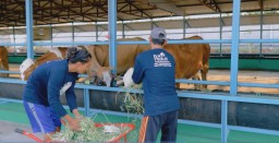 PLN NP Edukasi Biosecurity di PLTU Tanjung Awar-Awar Tuban