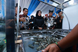 Ratusan Pebisnis Udang Kumpul di Banyuwangi Bahas Ekspor Udang Nasional