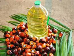 Minyak Nabati Sumbang Surplus Neraca Perdagangan Agustus 2025