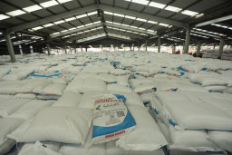 Dukung Musim Tanam Okmar, Petrokimia Gresik Siapkan 441 Ribu Ton Pupuk Bersubsidi